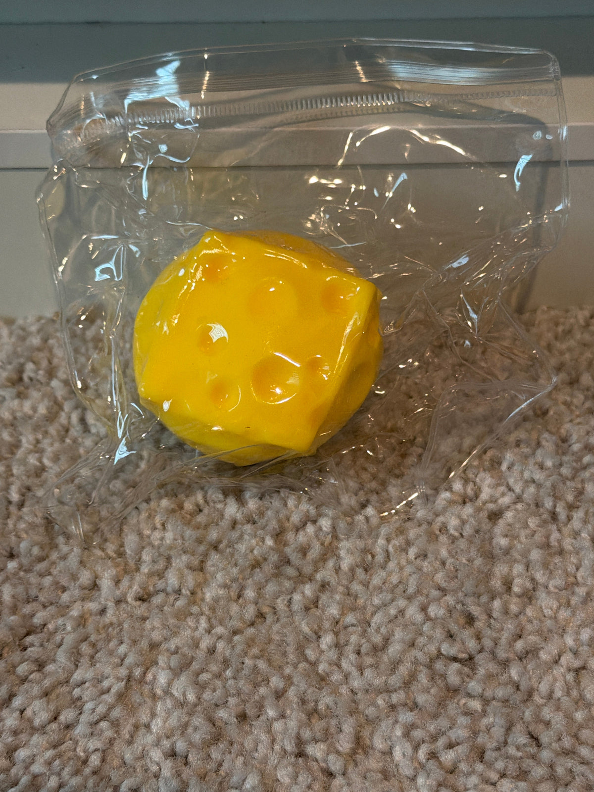 Crunchy Cheese Squishy