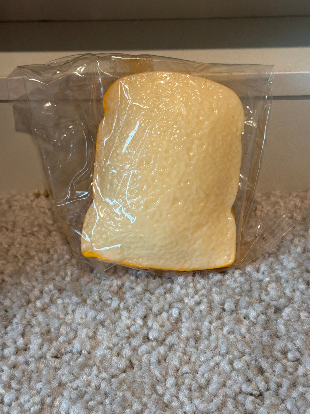 Crunchy Toast Squishy